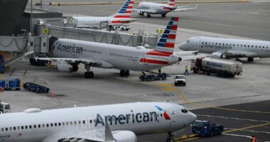 Planes grind to a halt at multiple US airports as travel chaos spreads