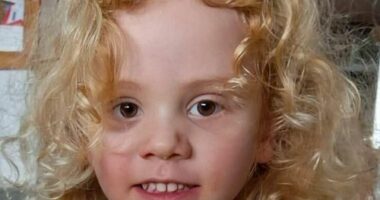 Missing four-year-old Gus