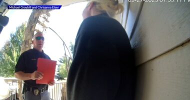 Police use Flock cameras to wrongfully accuse Denver woman of theft