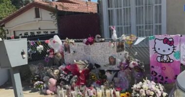 Police were called to Celeste Rivas Hernandez's home 11 times: report