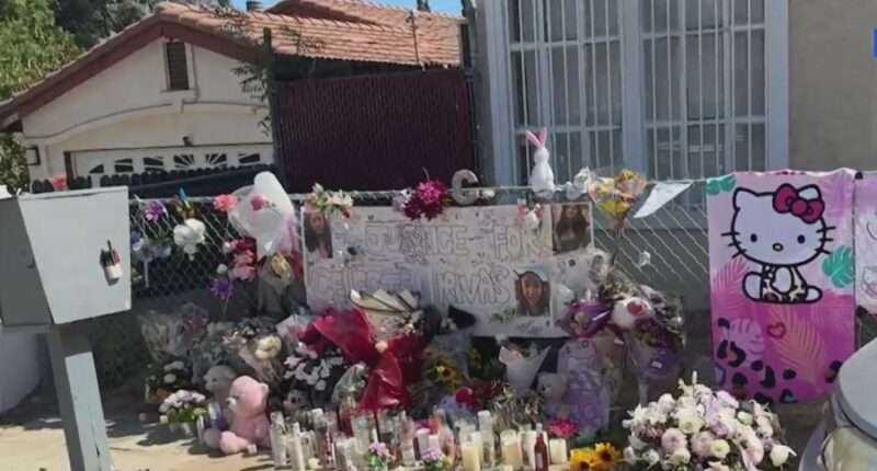 Police were called to Celeste Rivas Hernandez's home 11 times: report