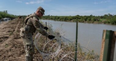 Poll: Texans split on Trump's immigration policies
