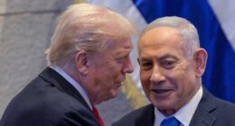Poll delivers brutal verdict that Trump's Middle East peace deal will collapse