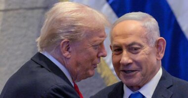 Poll delivers brutal verdict that Trump's Middle East peace deal will collapse