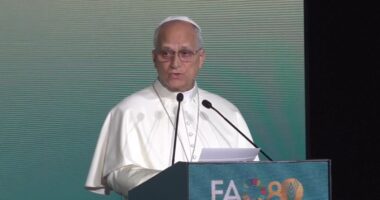 Pope Leo XIV urges world leaders 'not to look the other way' in fighting global hunger at World Food Day ceremony in Rome