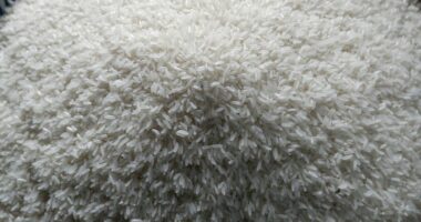 Popular rice brand issues nationwide recall: FDA