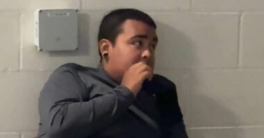 Portland Antifa suspect quivers with fear after being arrested by ICE