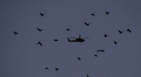 Portland activists told to point lasers at federal helicopter