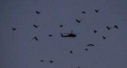 Portland activists told to point lasers at federal helicopter