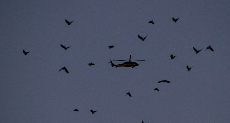 Portland activists told to point lasers at federal helicopter