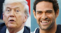 President Trump reflects on stabbing, arrest of ‘nice guy’ Mark Sanchez