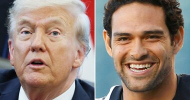 President Trump reflects on stabbing, arrest of ‘nice guy’ Mark Sanchez