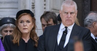 Prince Andrew could refuse to leave Royal Lodge even if the King tries to evict him, says legal expert as public clamour grows