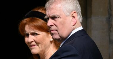 Prince Andrew may face humiliating public rebuke in Parliament