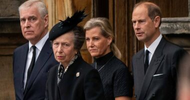 Prince Edward paid 'market value' for his Surrey country mansion, unlike Andrew's 'peppercorn rent' for Royal Lodge