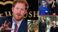Prince Harry considered quitting role but stayed for Queen