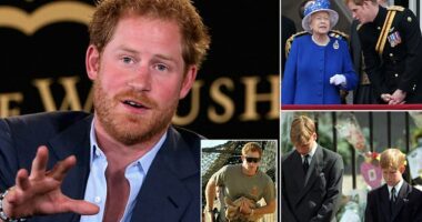 Prince Harry considered quitting role but stayed for Queen