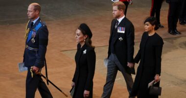 Prince Harry's AWKWARD hand holding allowed him to 'steer' Meghan Markle at Westminster Hall, body language expert claims