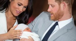 Prince Harry's cutting response to Jane Goodall meeting his son