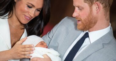 Prince Harry's cutting response to Jane Goodall meeting his son
