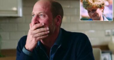 Prince William's heartbreaking tears of compassion for a widow who lost her husband and baby resemble Princess Diana's unashamed empathy