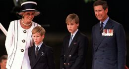 Princes William and Harry were 'heartsick' at their parents' 'deluge of dirty laundry', according to royal author