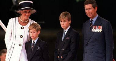 Princes William and Harry were 'heartsick' at their parents' 'deluge of dirty laundry', according to royal author