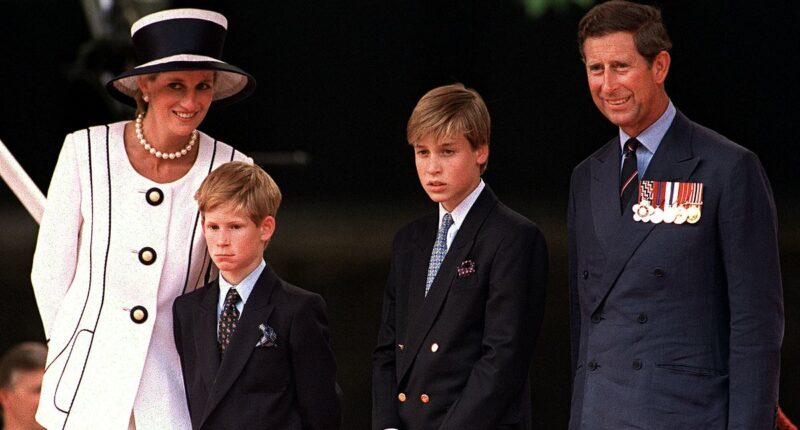 Princes William and Harry were 'heartsick' at their parents' 'deluge of dirty laundry', according to royal author