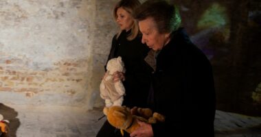 Princess Anne, 75, leaves very personal tribute during top secret trip to Ukraine - following Prince Harry's private visit just weeks ago
