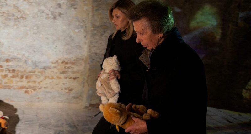 Princess Anne, 75, leaves very personal tribute during top secret trip to Ukraine - following Prince Harry's private visit just weeks ago