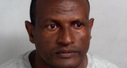 Prison guards gave Epping sex offender directions to train station
