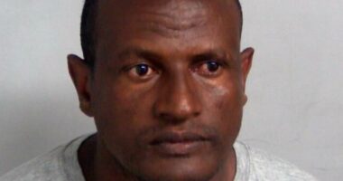 Prison guards gave Epping sex offender directions to train station