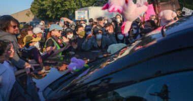 Pritzker urges calm ahead of ICE raids over Halloween weekend