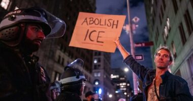 Protests erupt following ICE raid on Canal St.