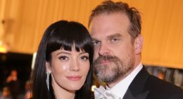 REVEALED: Mum who had affair with Lily Allen's husband David Harbour