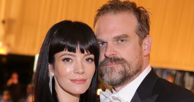 REVEALED: Mum who had affair with Lily Allen's husband David Harbour