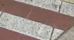 Rainbow brick crosswalk removed in Miami Beach