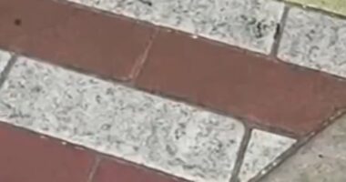 Rainbow brick crosswalk removed in Miami Beach