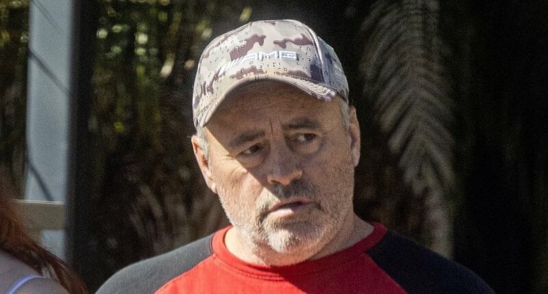 Reclusive Friends icon Matt LeBlanc seen on rare public outing