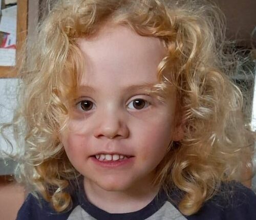 Missing four-year-old Gus