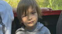 Report: Boy missing in Canada for a week has 5% chance of survival