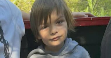 Report: Boy missing in Canada for a week has 5% chance of survival