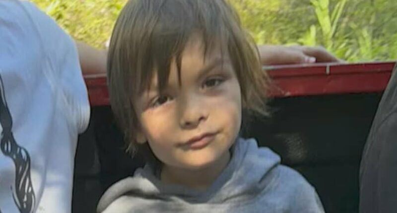 Report: Boy missing in Canada for a week has 5% chance of survival
