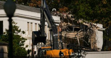 Republican ex-First Lady staff 'stunned' as  East Wing torn down