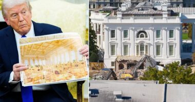 Republicans are cringing at Trump's demolition derby of the East Wing