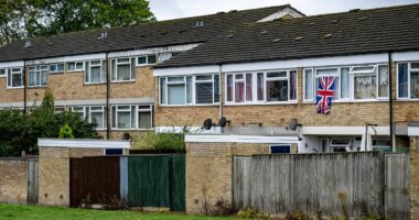 Residents' victory after vote to stop 1960s housing estate demolition