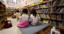 Restore school libraries to aid reading freedom