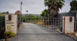 Retail tycoon John Levy is being fined more than $1.4 million over a gate that blocks public beach access among other violations