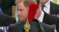 Revealed: The story behind Prince Harry's Coronation humiliation caused by Princess Anne's enormous hat!