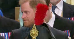 Revealed: The story behind Prince Harry's Coronation humiliation caused by Princess Anne's enormous hat!